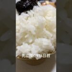 パンパンの米と残り物豚キムチの残骸食べた 糖尿病全食事記録976日目