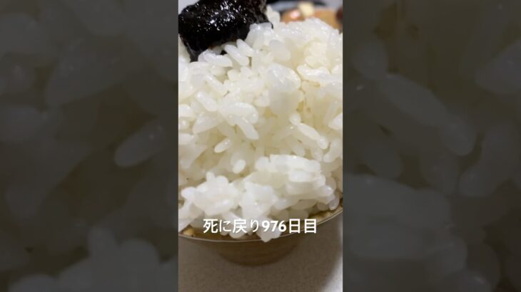 パンパンの米と残り物豚キムチの残骸食べた 糖尿病全食事記録976日目