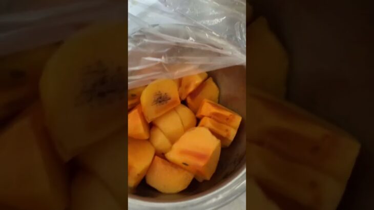 糖尿病全食事記録977日目　柿