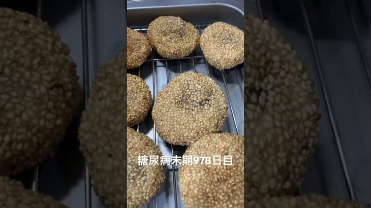 手作り胡麻団子たんと召し上がった 糖尿病全食事記録978日目