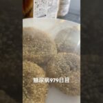 手作り胡麻団子食べた 糖尿病全食事記録979日目