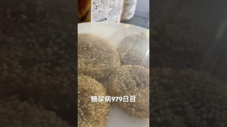 手作り胡麻団子食べた 糖尿病全食事記録979日目