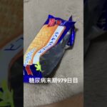 どうしてもビスケットサンド食べたかった 糖尿病全食事記録979日目