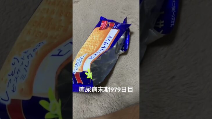 どうしてもビスケットサンド食べたかった 糖尿病全食事記録979日目