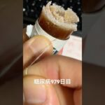 糸切り羊羹食べた　糖尿病全食事記録979日目