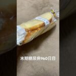 98円で買わされたまるごとバナナ食べた 糖尿病全食事記録960日目