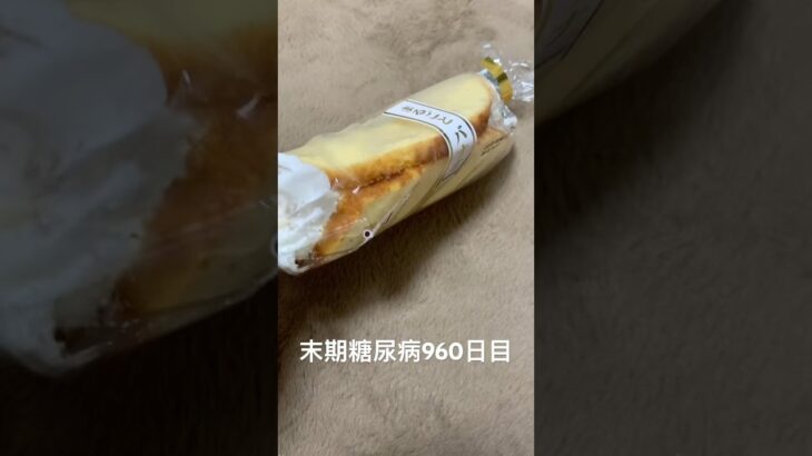 98円で買わされたまるごとバナナ食べた 糖尿病全食事記録960日目