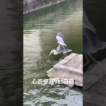 弘法市行った 糖尿病全食事記録981日目