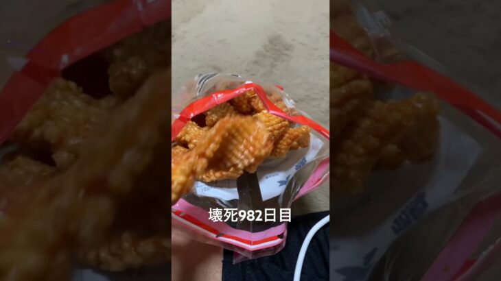 糖尿病全食事記録982日目 オタルの大鵬