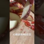 手作りリンゴ飴食べた 糖尿病全食事記録982日目