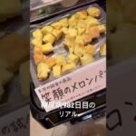 ふかし野郎まみれの糖尿病界隈に一石を投じる 糖尿病全食事記録982日目