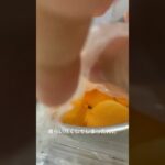 柿食べた 糖尿病全食事記録984日目