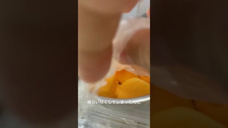 柿食べた 糖尿病全食事記録984日目