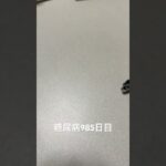 冷凍庫掃除して出てきたパピコ食べた 糖尿病全食事記録985日目