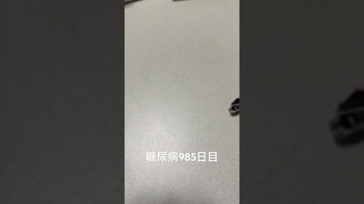 冷凍庫掃除して出てきたパピコ食べた 糖尿病全食事記録985日目