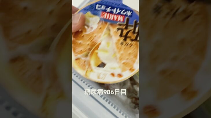 新解釈ビスケットサンド食べた 糖尿病全食事記録986日目