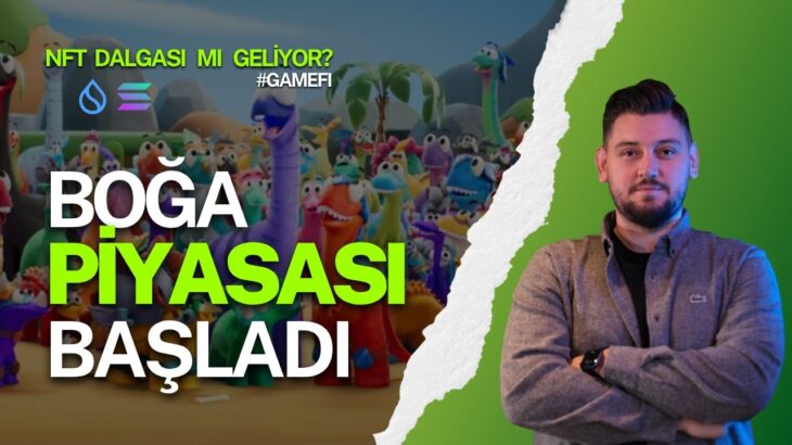 BOĞA PİYASASI BAŞLIYOR | NFT RALLİSİ | SOLANA & SUI | POMPKİNS & CLAYNOSAURZ