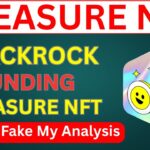 BlackRock Invest Treasure NFT Behind The Truth | Treasure NFT 1st November Withdraw Update |