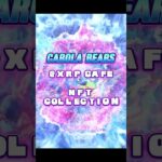 CarolaBears 🧸 #NFT Collection @ #XRPCAFE 💧Dropping this #Uptober 📈 #nftclub