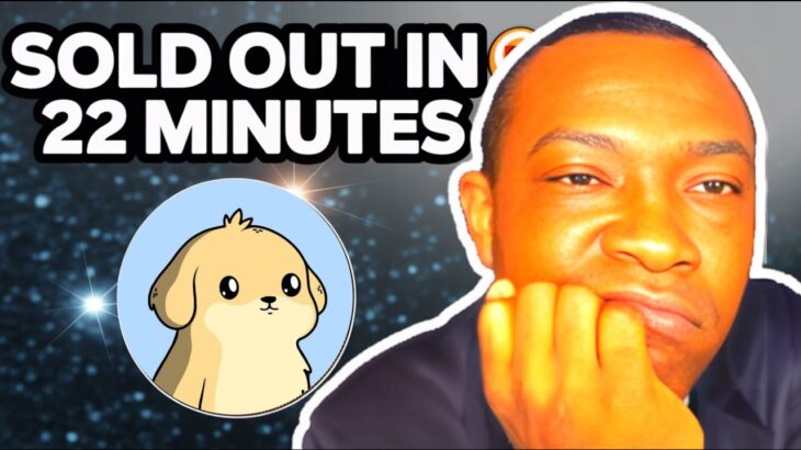 Dapper Doggo NFT Collection Sold Out in 22 Minutes!