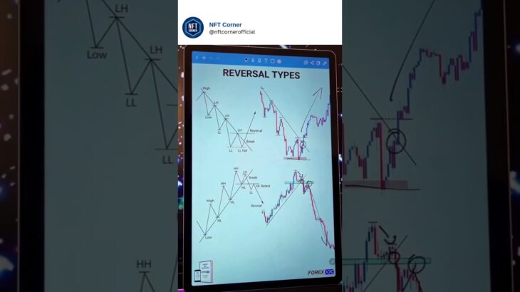 Every NFT trader must understand reversals.