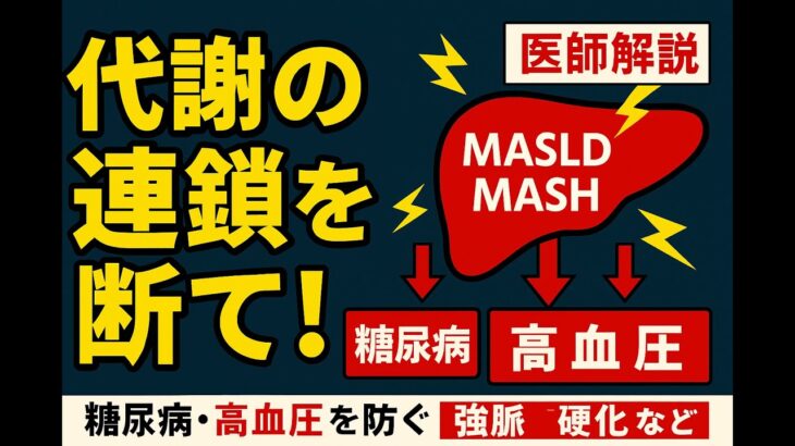 【医師解説】脂肪肝＝放置は危険！糖尿病・高血圧を防ぐ「代謝連鎖」リセット法｜MASLD/MASH 最新知見