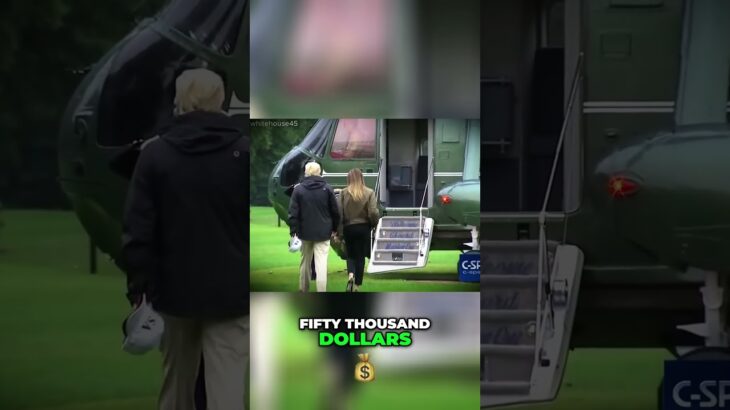Melania Trump’s NFT Venture  A Digital Artwork Success