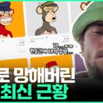 개망했던 NFT 최신 근황
