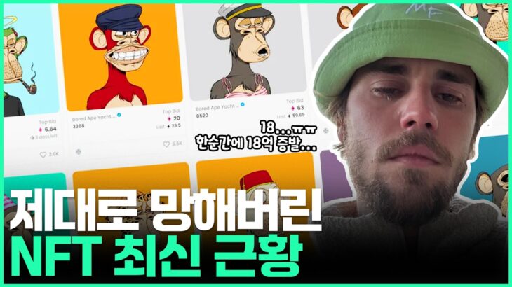 개망했던 NFT 최신 근황