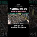 방치된 공장 속, 영국에서 개발된 NFT를 이용한 산소삽목기!