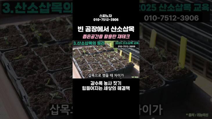 방치된 공장 속, 영국에서 개발된 NFT를 이용한 산소삽목기!