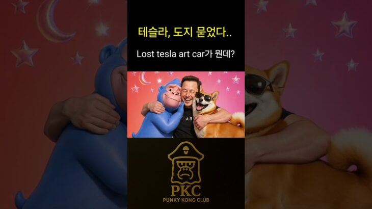 테슬라 도지 묻었다ㅣ테슬라 NFT가 뭔데? #도지코인 #비트코인 #펑크비즘