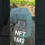 NFT 1 M2