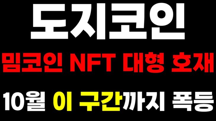 도지 코인 밈코인 NFT 초대형 호재 !! 5000% 대상승 싸이클 지금 시작합니다 !!