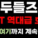 두들즈 코인 NFT 역대급 호재 발표 !! 5000% 대불장 시나리오 지금 바로 공개합니다 !!
