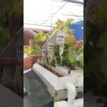 NFT Hydroponic System | बिना मिट्टी की खेती की नई तकनीक 🌿|NUTRIENT FILM TECHNIQUE|