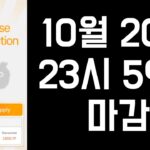 [NFT 민팅 / NFT 청약] 팔콘 파이낸스 NFT WL 받으세요