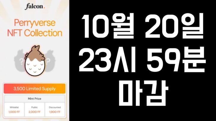 [NFT 민팅 / NFT 청약] 팔콘 파이낸스 NFT WL 받으세요