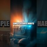 NFT Security and Smart Collection Strategy