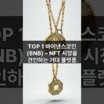 NFT 생태계 최강자 TOP 2 블록체인: 바이낸스코인 (BNB)과 트루 (TRUE)의 미래 전망