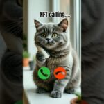 NFT calling #ringtone #cat #trending #cutecat #youtubeshorts #viralshort #calling #kitten