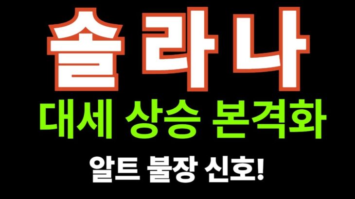 “NFT·DeFi 동반 회복, 솔라나의 반격 시작”