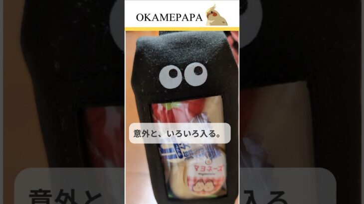 意外といっぱい入る。#一型糖尿病#じゃなくてもOK#子供用ポーチ