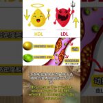 糖尿病Part4 糖尿病中的血糖紊亂 #中医  #中醫