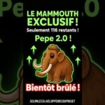 Plush Mammouth : Le Prochain PEPE!