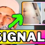 ☠️ Real Euphoria: He Sold His Kidney for an NFT and Lost (-95%)