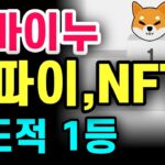 [SHIB] 디파이, NFT 압도적 1등, 시바이누 1등 노린다