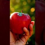 【フォローといいねお願いします😊】糖尿病の人が食べても安心な糖分が少ない果物Top5 #健康 #雑学 #予防医療 #医療 #予防 #