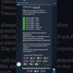 Treasure NFT Account Verification Process