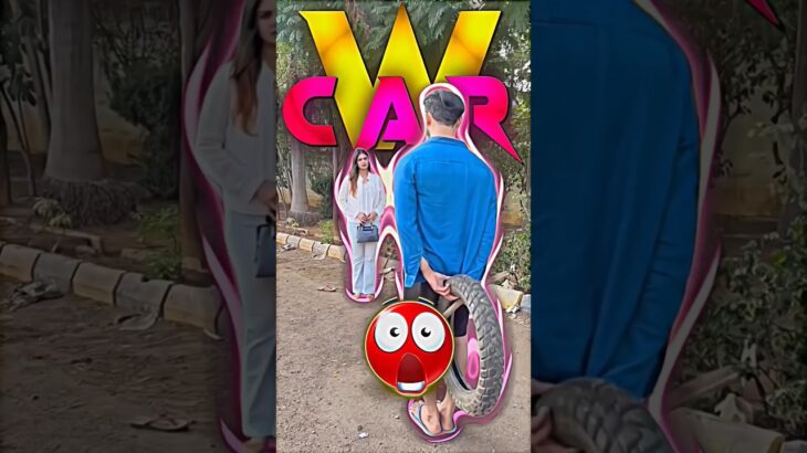 W CAR 💀🔥 | Sigma Nft | Troll face | Edits #viral #shorts #trending #explorepage